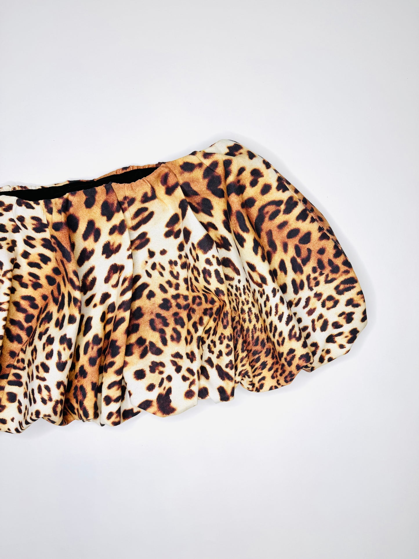 Cheetah Bubble